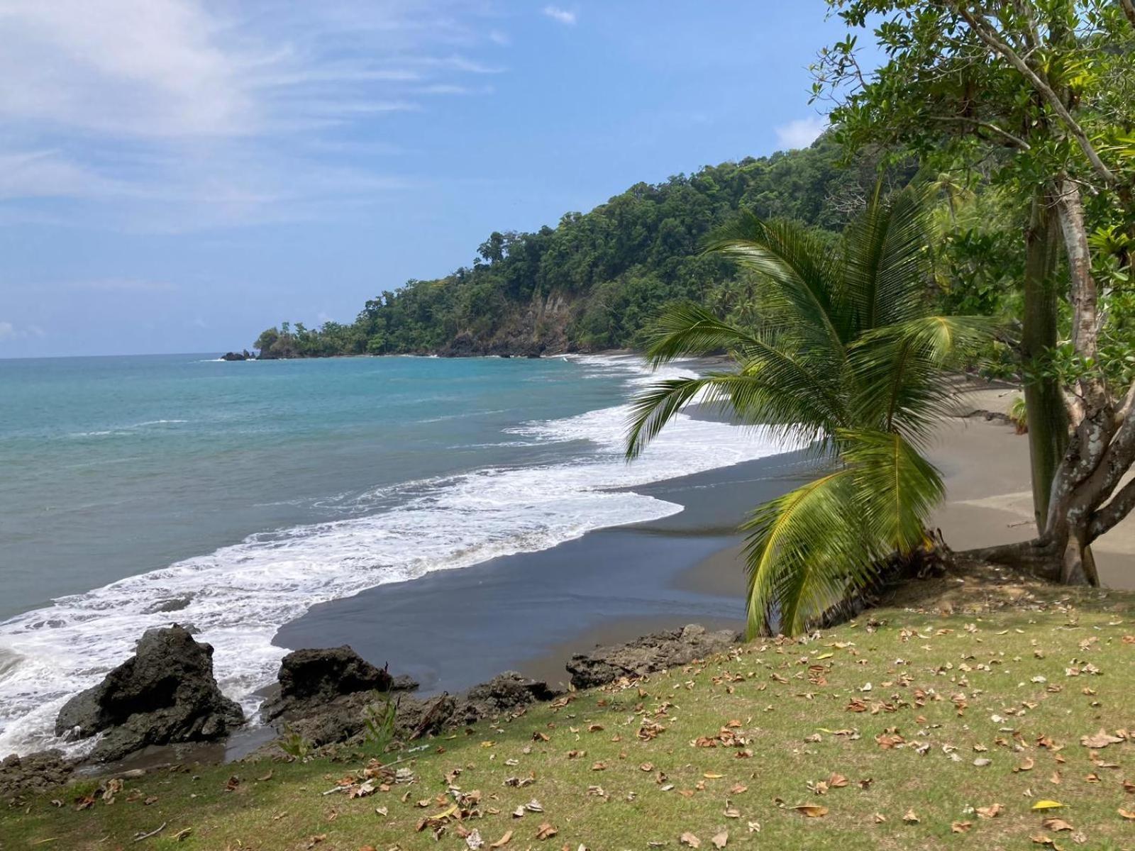 Corcovado & Drake Inn Drake Bay Exterior photo